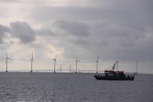 Offshore wind farm with boat in foreground